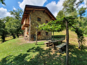 Agriturismo l'Arbo